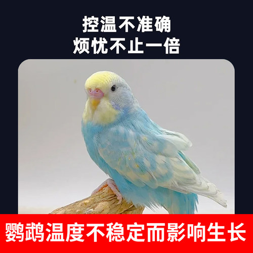 鹦鹉专用温控器数显智能全自动恒温温度控制器仪温控开关插座旋钮 - 图0