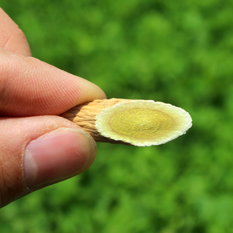 黄芪片500g克甘肃黄芪氏北芪非野生非特级粉中药材搭当归党参包邮 - 图2