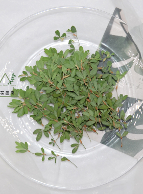 关门草书签相框杯垫手工diy花材