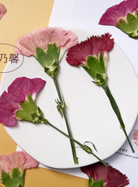 侧压康乃馨教师节贺卡diy真花干花标本粉色花瓣压花相框手工礼物