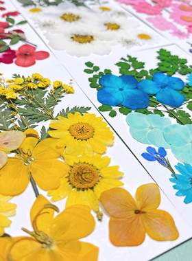 干花压花手工diy材料包