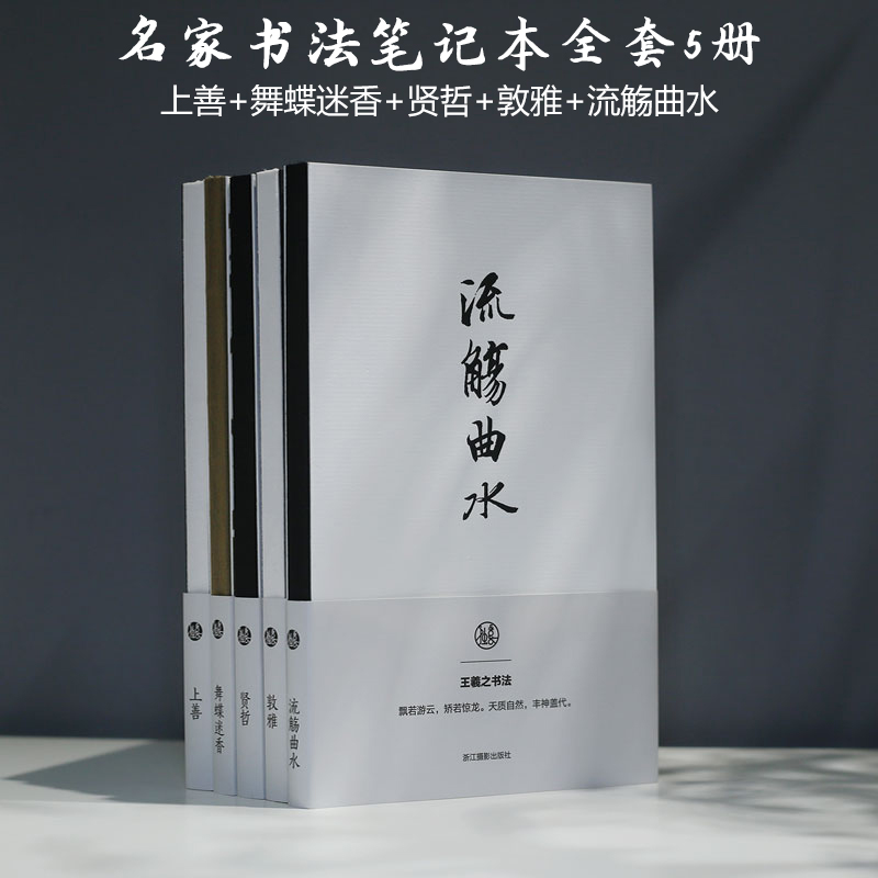 名家书法笔记本全集9册 王羲之欧阳询宋徽宗颜真卿赵孟頫文征明小楷字帖书法独喜文创笔记本 精美艺术礼盒装中国风传统文艺手账本 - 图2