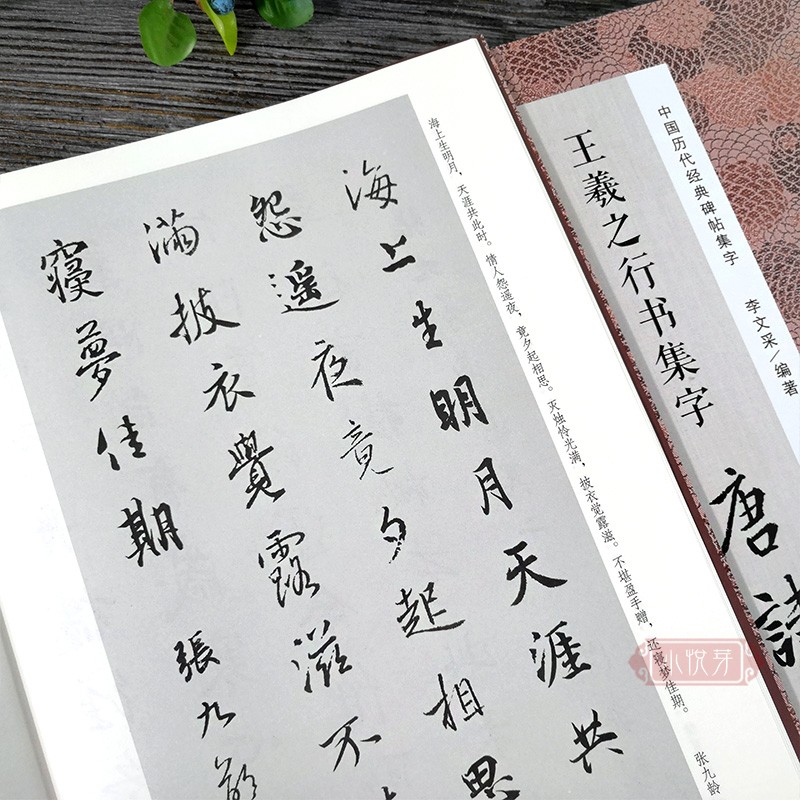 王羲之行书集字唐诗一百首 收录王羲之行书经典碑帖集字古诗词作品集临摹教程 行书毛笔书法字帖王羲之兰亭序圣教序行书集字古诗 - 图2