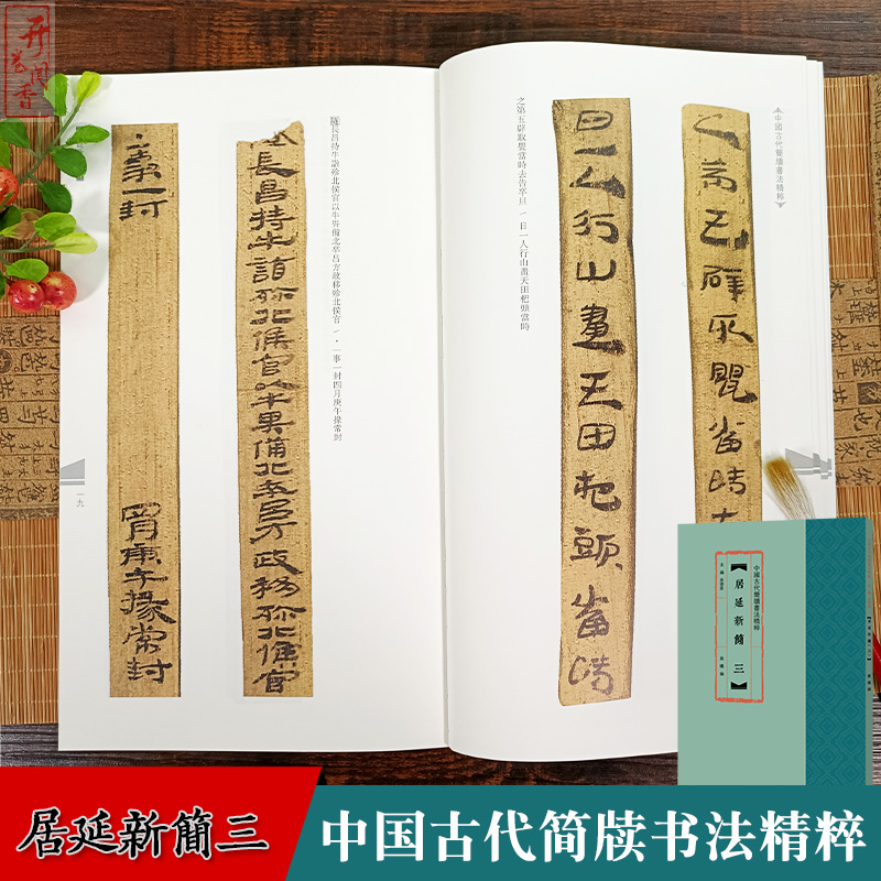 中国古代简牍书法精粹全集24册 武威汉简/北大秦简/云梦睡虎地秦简/临沂银雀山/北大汉简秦篆秦隶汉隶汉草楚篆毛笔书法临摹练字帖 - 图0
