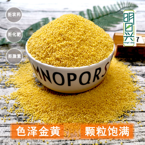 有机黄小米明日兴有机小米早餐月子稠软杂粮稀饭营养儿童煮粥米 - 图0