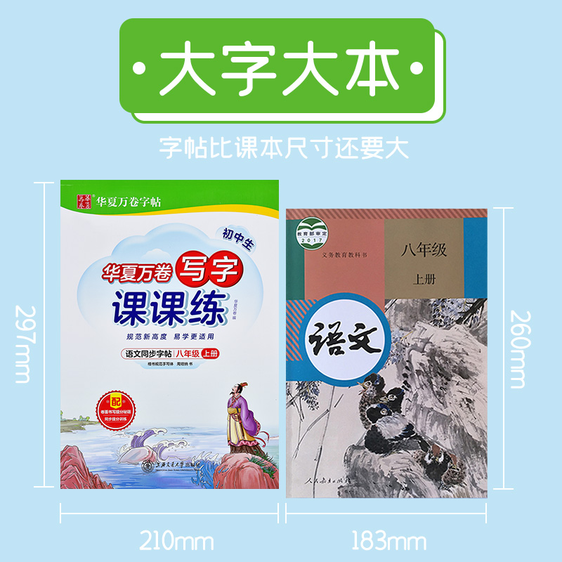 初中八年级上册下册语文同步字帖人教版生字词语必背古诗文练字帖初中生专用楷书正楷钢笔临摹练字中学生中考硬笔书法描红写字帖本 - 图1