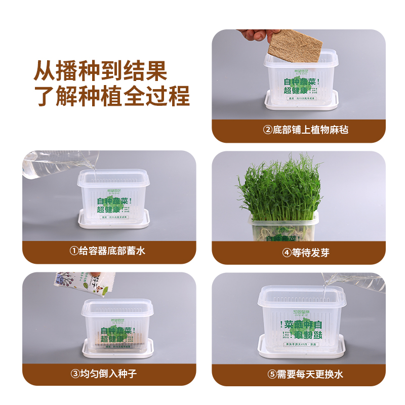 小学生水培植物观察绿豆豌豆种籽儿童种植盆栽花生蚕豆蔬菜花种子 - 图0