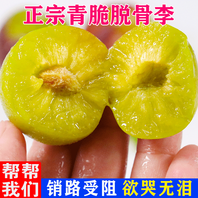 嘉品农业四川青脆李子新鲜水果5斤包邮当季现摘孕妇脱骨李胜网红三华李0