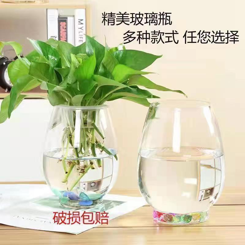 水培植物玻璃瓶绿萝花瓶花盆办公室创意水养鱼缸器皿容器送定植栏