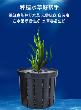 鱼缸水培植物篮家用水草种植水草泥沉底固定器种植造景装饰水草盒