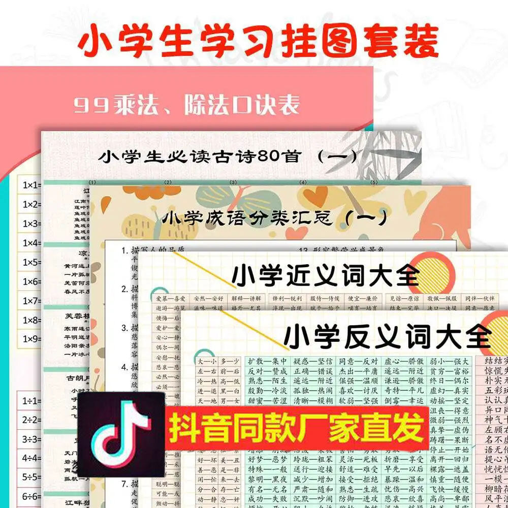 小学生语数外知识点学习挂图套装14 丽瞳玩具玩具挂图/认知卡
