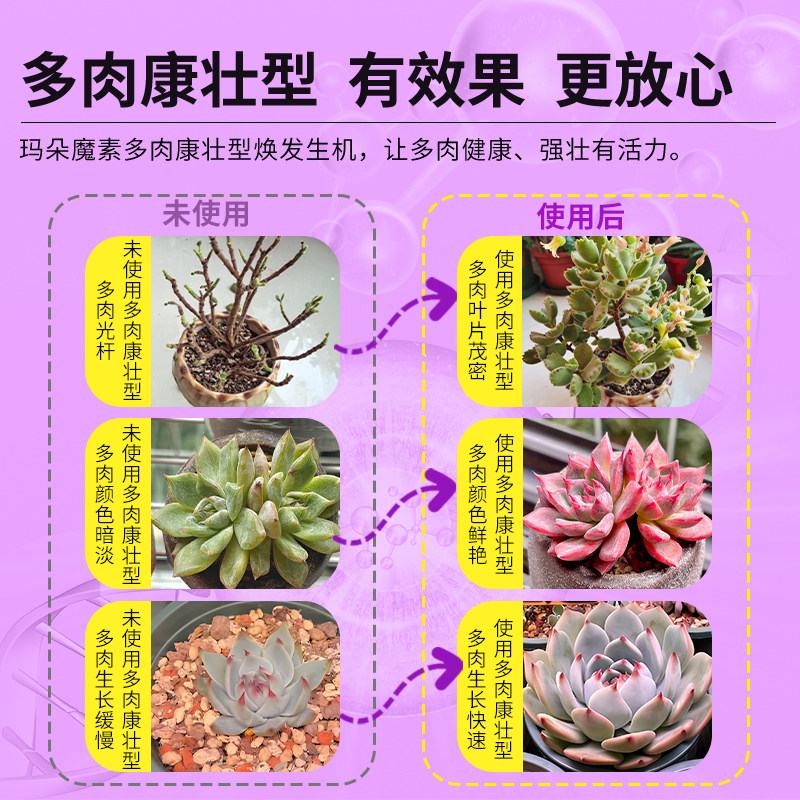 卡纳玛朵魔素多肉康壮型营养液改善僵苗壮根增肥增色水溶叶面肥,淘宝优惠券,粉丝福利购,淘宝优惠卷