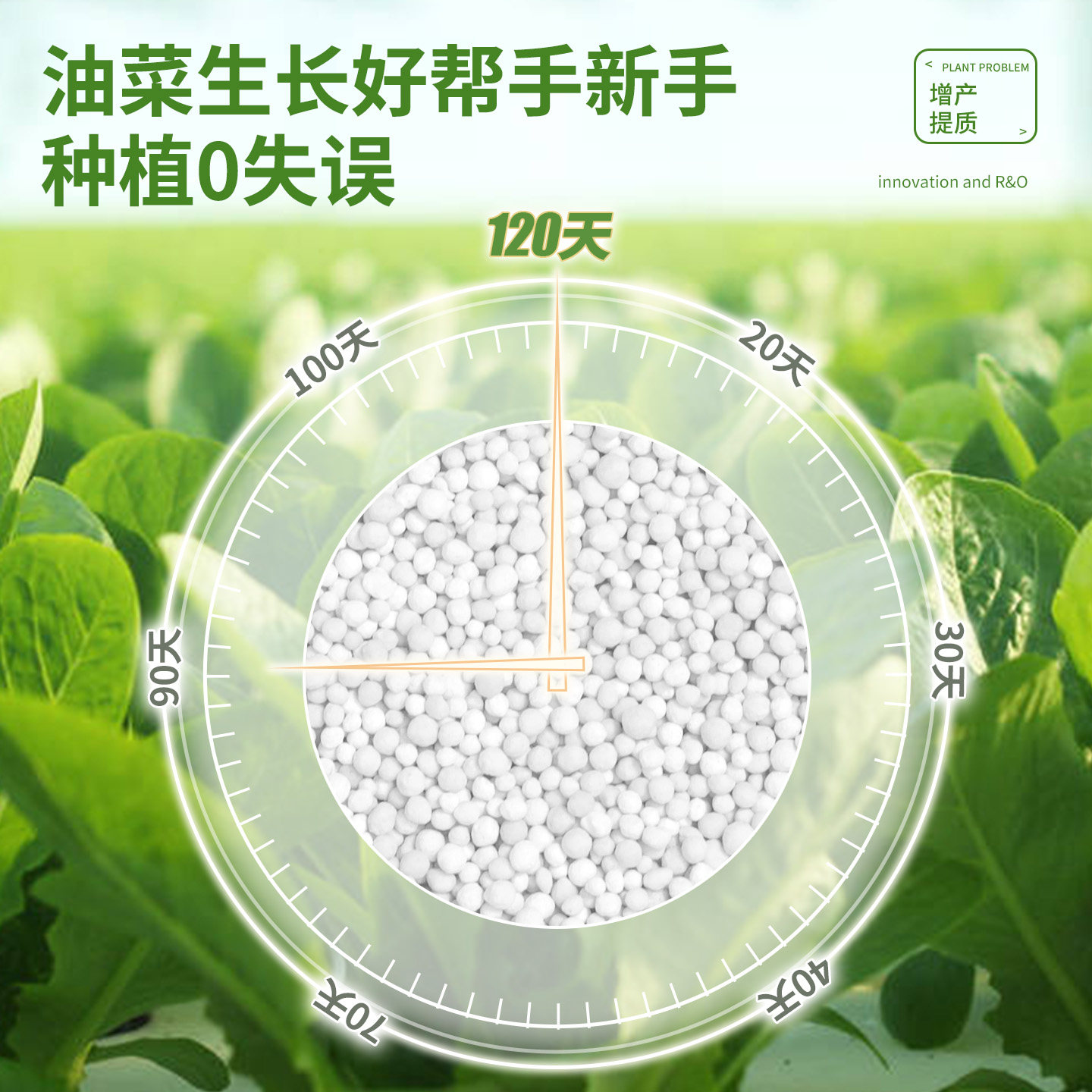 油菜专用复合肥料有机肥氮磷钾三元肥农用种菜家用水溶肥颗粒硼肥,淘宝优惠券,粉丝福利购,淘宝优惠卷