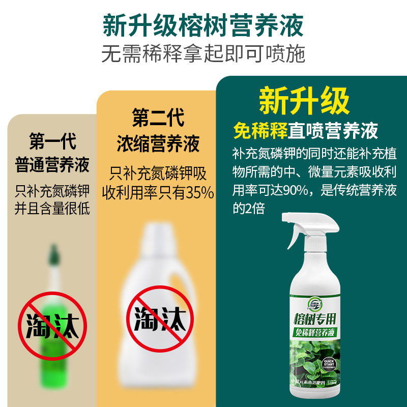 榕树营养液免稀释肥料专用肥黄金榕人参榕小叶榕树盆景通用营养液,淘宝优惠券,粉丝福利购,淘宝优惠卷