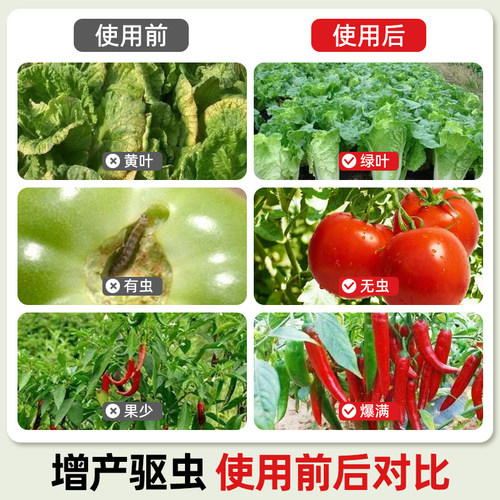 种菜用的草木灰正宗纯稻壳炭农家专用肥料蔬菜专用驱虫钾肥土 - 图3