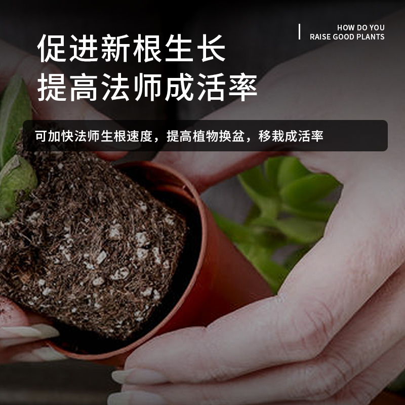 多肉法师专用营养土颗粒土肉肉植物种植土壤通用型家用盆栽泥炭土 - 图3