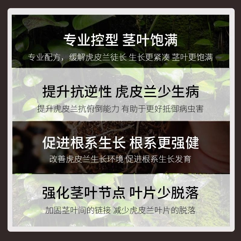 虎皮兰肥料专用肥营养液虎尾兰金边家用盆栽植物通用土水培叶面肥,淘宝优惠券,粉丝福利购,淘宝优惠卷