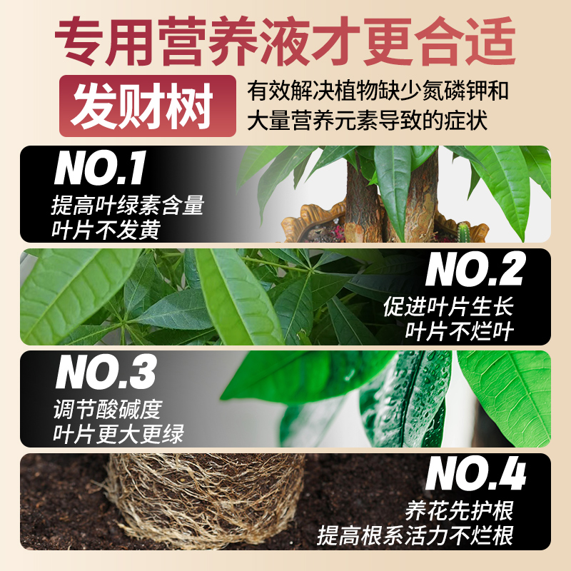 发财树营养液肥料专用肥室内盆栽植物活力素专治叶子发黄掉叶烂根