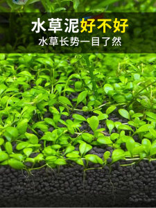 鱼缸专用水草泥尼特利水草液肥生态鱼缸ada水藻泥底砂陶粒砂基肥