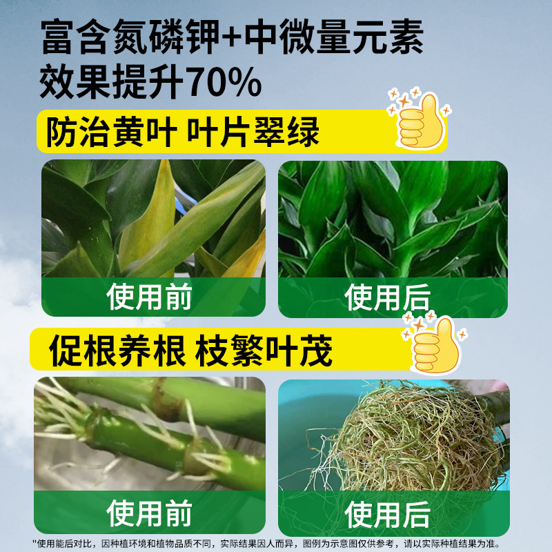 观音竹专用肥料营养液专治枯叶黄叶富贵竹水培植物营养液专用肥料,淘宝优惠券,粉丝福利购,淘宝优惠卷