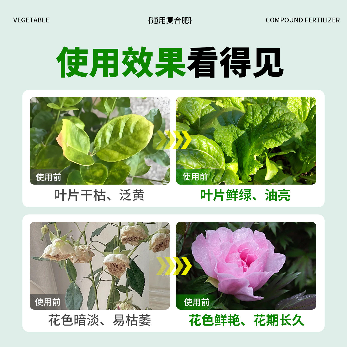 氮磷钾复合肥蔬菜农用专用种菜养花通用型三元复合肥肥料果树化肥,淘宝优惠券,粉丝福利购,淘宝优惠卷