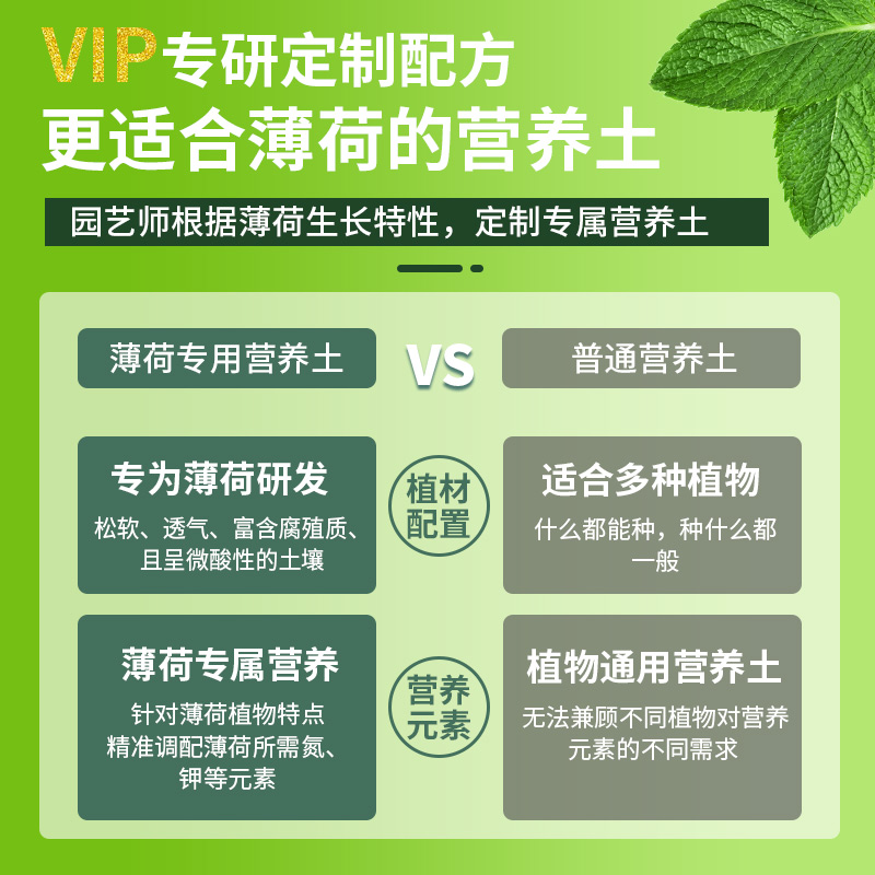 种薄荷专用土营养土薄荷专用肥料盆栽土壤含羞草花泥土有机种植土-图1