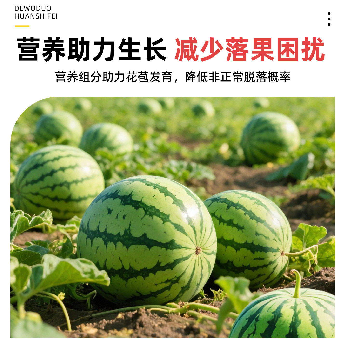 西瓜专用肥料复合肥花肥肥料通用养花肥料蔬菜农用种菜花卉专用,淘宝优惠券,粉丝福利购,淘宝优惠卷