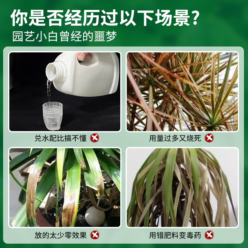 龙血树专用肥料营养液龙须树室内盆栽治黄叶干尖专用型绿植有机肥 - 图0