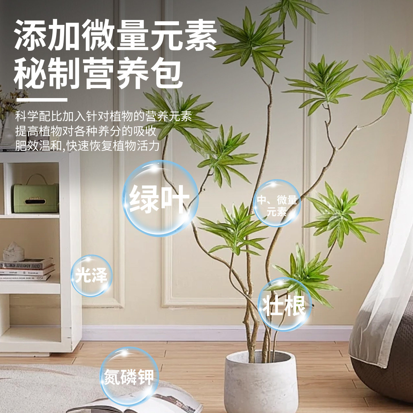 百合竹专用营养液金边百合竹专用肥料专治叶子发黄养护绿植水溶肥,淘宝优惠券,粉丝福利购,淘宝优惠卷