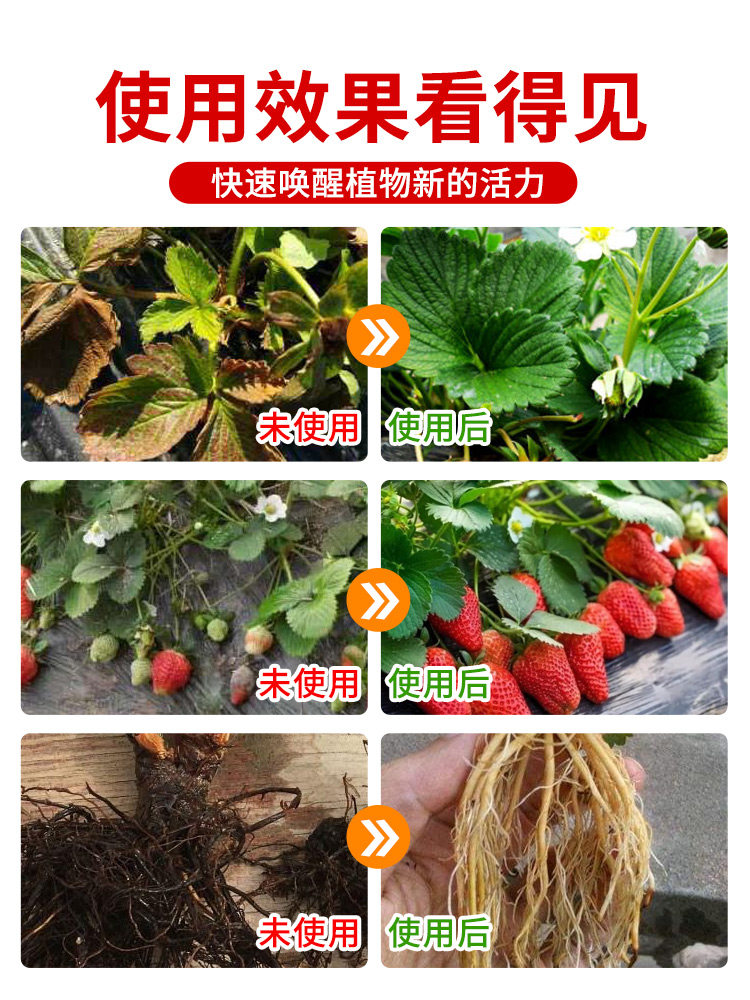 草莓专用营养液草莓肥料专用肥免稀释营养液家用盆栽有机液体肥料,淘宝优惠券,粉丝福利购,淘宝优惠卷