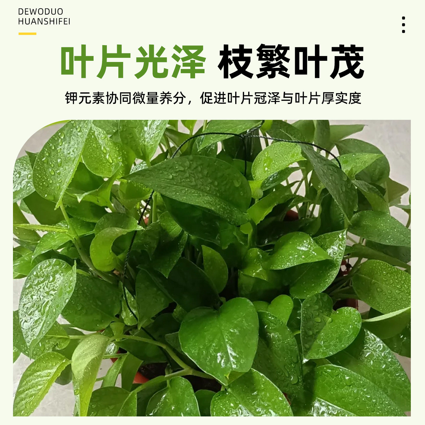 绿萝专用肥料复合肥花肥肥料通用养花肥料蔬菜农用种菜花卉专用,淘宝优惠券,粉丝福利购,淘宝优惠卷