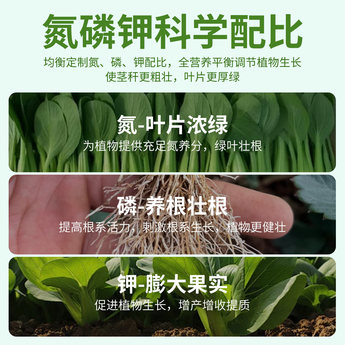 油菜专用复合肥料有机肥氮磷钾三元肥农用种菜家用水溶肥颗粒硼肥,淘宝优惠券,粉丝福利购,淘宝优惠卷
