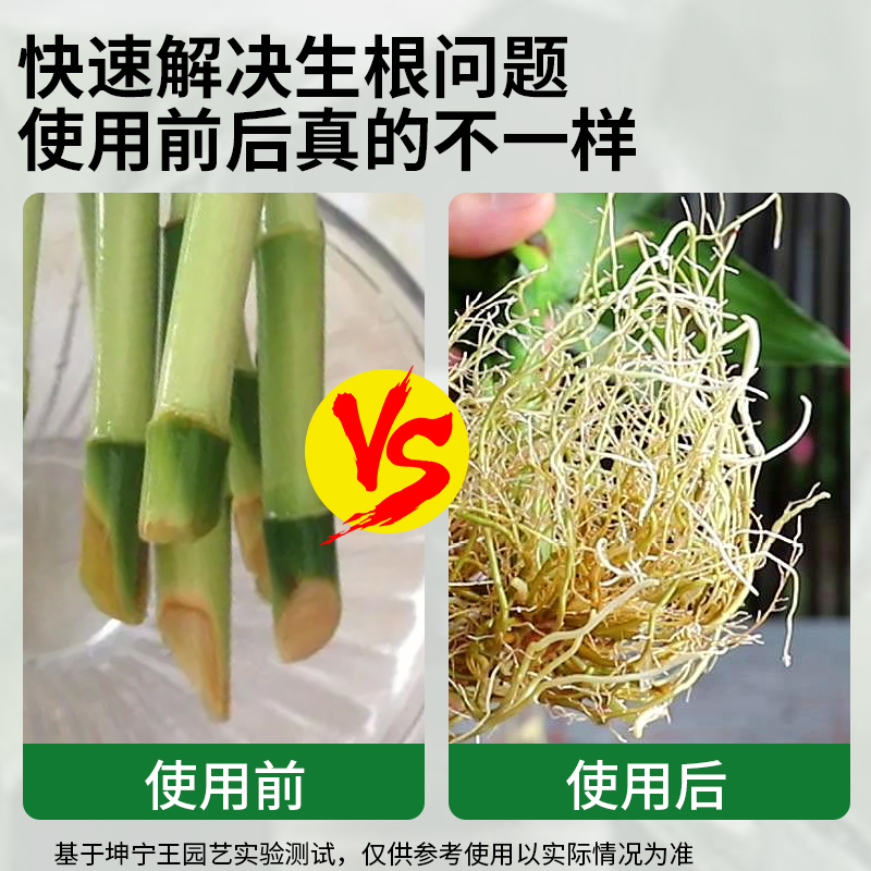 强力生根粉植物通用扦插用壮苗生根剂快速生跟速效药水根系一包壮 - 图2