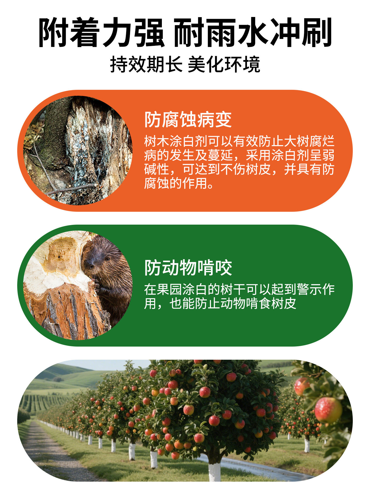 果树树木涂白剂树干防虫防冻杀菌盆景过冬保护白灰冬季石灰粉刷树,淘宝优惠券,粉丝福利购,淘宝优惠卷