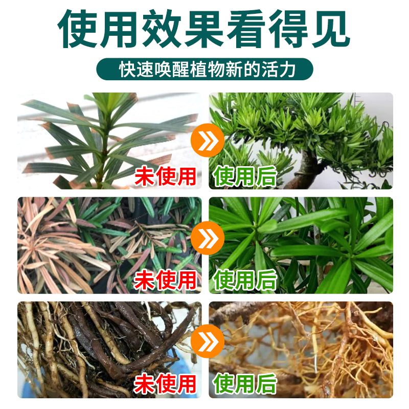 罗汉松专用营养液有机肥料免稀释室内盆栽植物通用型家用盆栽肥料 - 图3