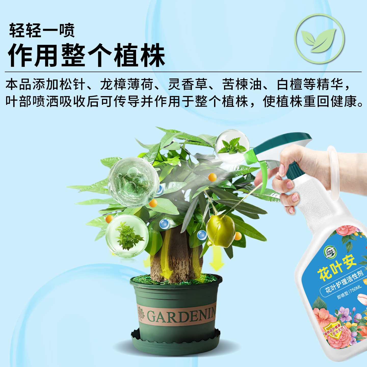 商品详情图片