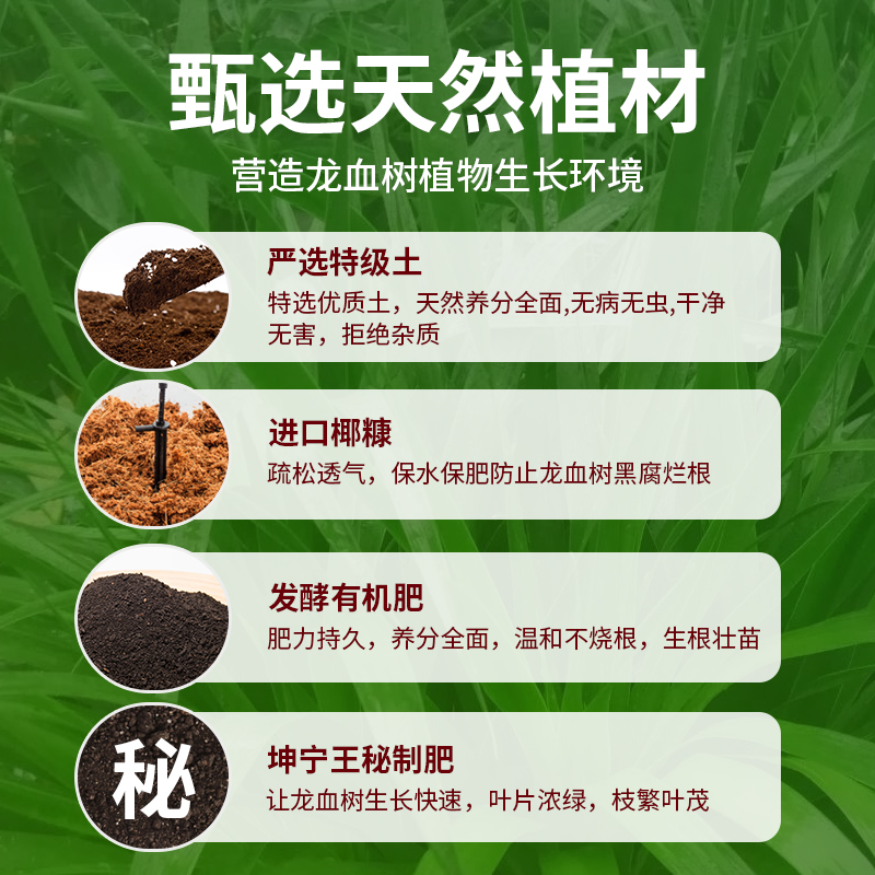 龙血树专用土通用客厅绿植有机土壤龙血树专用肥料土质疏松含菌少 - 图2