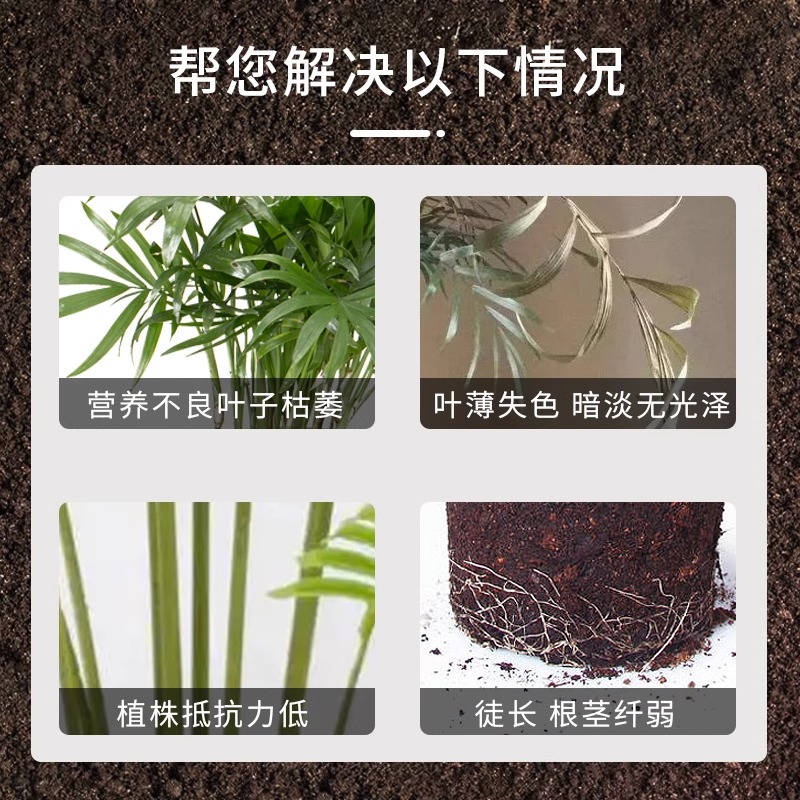 散尾葵肥料专用肥营养液凤尾竹室内水培植物养花肥料家用盆栽通用-图0