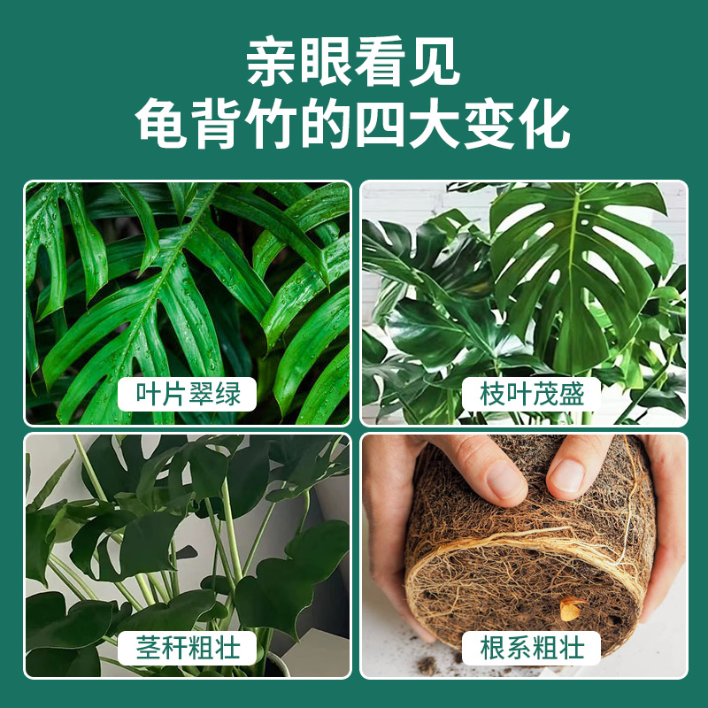 龟背竹专用营养土专用肥料养花土天南科土壤家用盆栽花卉土种植土