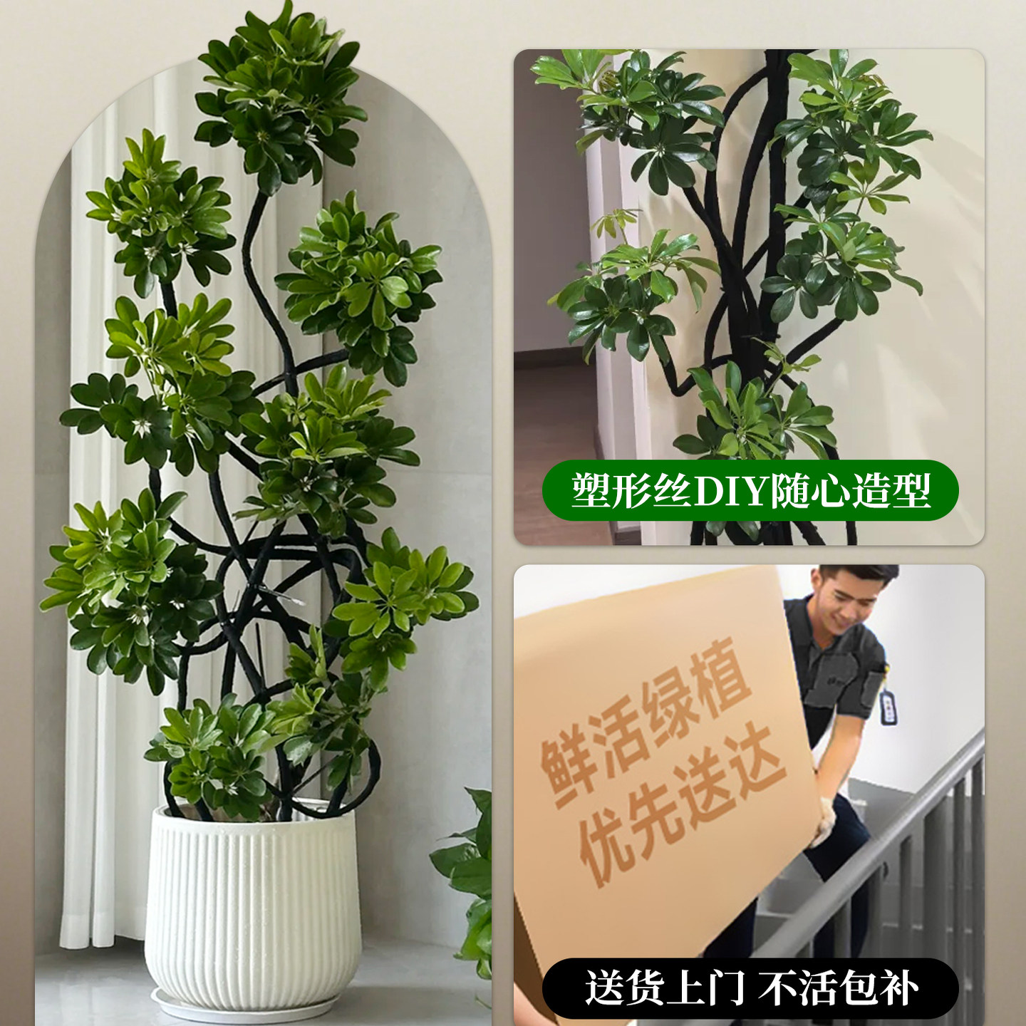 造型鸭脚木客厅绿植高级感室内大型盆栽高端大气上档次落地鸭掌木,淘宝优惠券,粉丝福利购,淘宝优惠卷