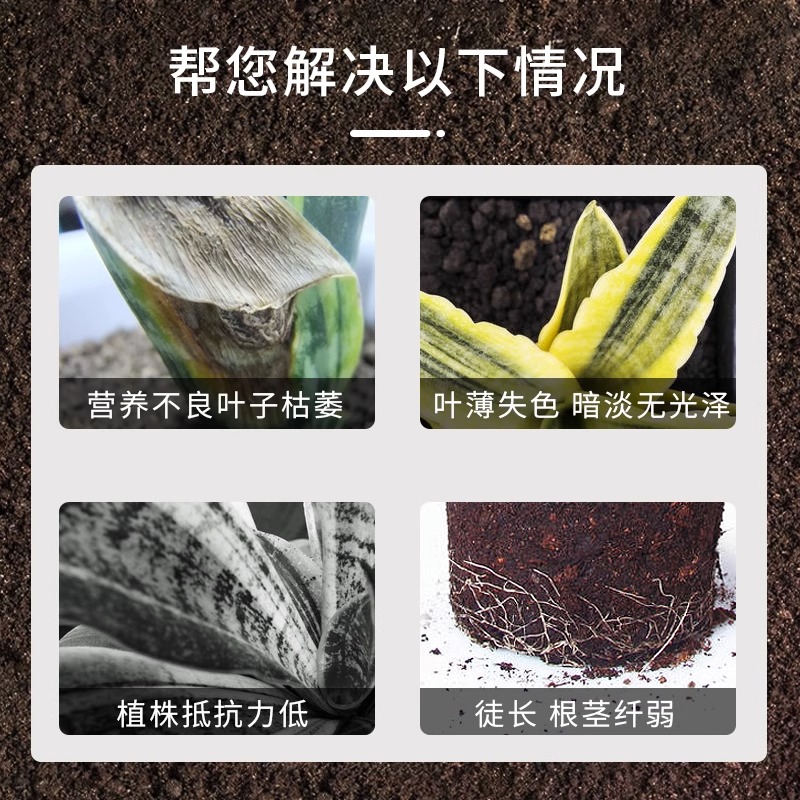 虎皮兰肥料专用肥营养液虎尾兰金边家用盆栽植物通用土水培叶面肥 - 图0
