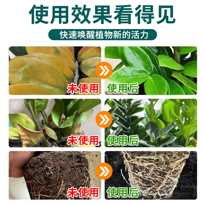 免稀释金钱树专用营养液家用花卉盆栽绿植物室内发财树叶面花肥料 - 图3