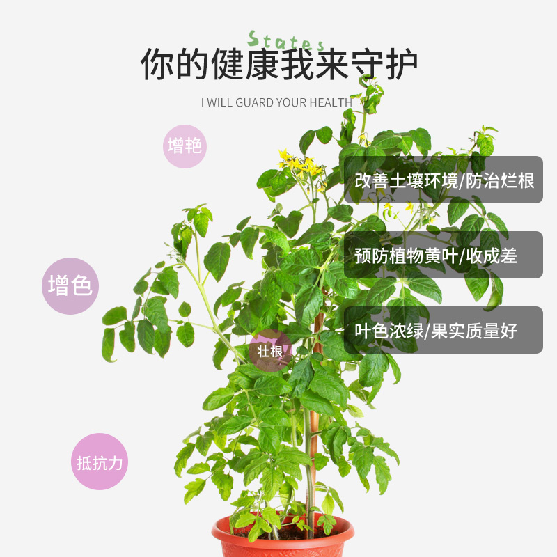 小番茄肥料营养液西红柿专用果蔬瓜果盆栽阳台蔬菜有机肥家用通用