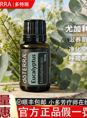 多特瑞官网尤加利eucalyptus