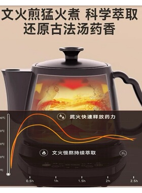 天际全自动分体煎药壶中药壶家用陶瓷煎中医砂锅电中熬药罐煲机煮