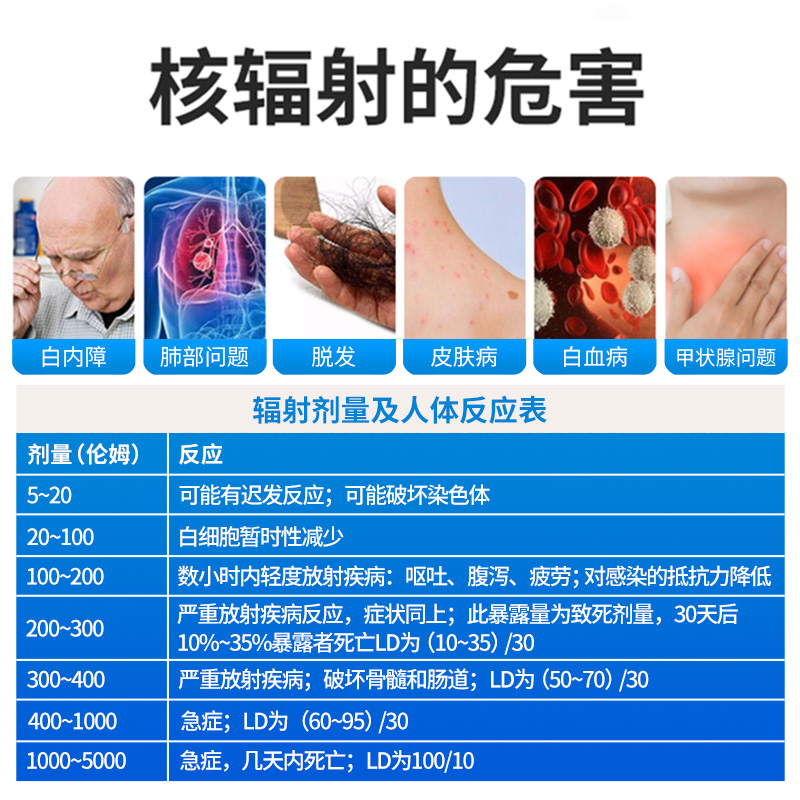 美国福禄克日本盖革计数器专业大理石放射性射线电离个人报警仪核 - 图2