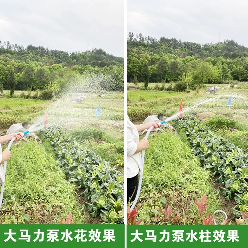 Небольшое зарядное насосное насосное насосное насос овощное артефакт