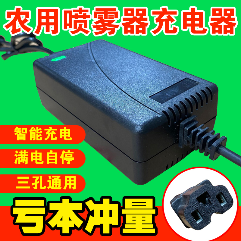 农用12V电动喷雾器智能12V8AH12AH20AH电瓶方孔通用充电器 - 图2