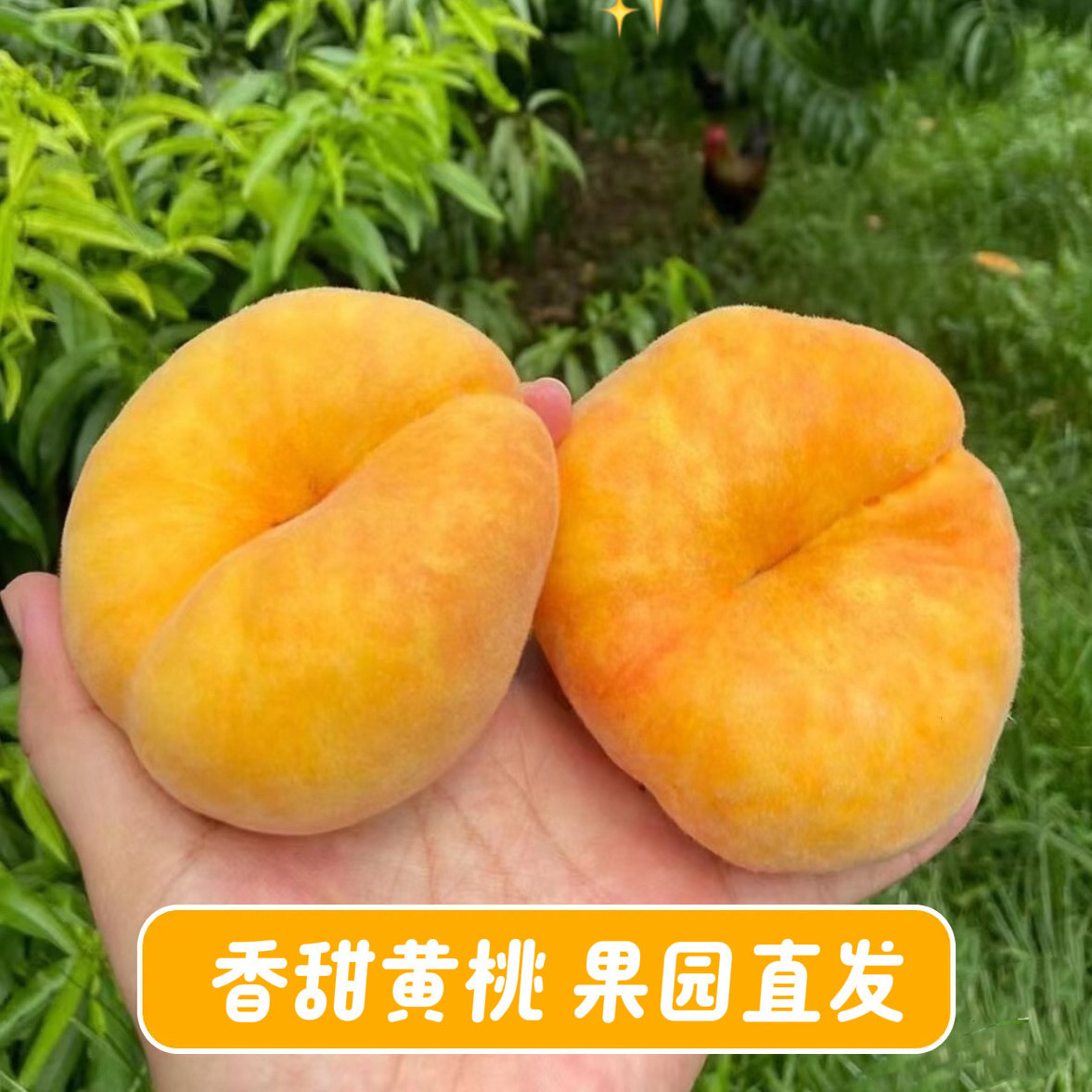 图4