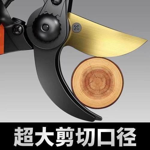 德国精工艺园剪刀剪树枝专用剪刀修枝剪果树剪花园林园艺剪子 - 图2